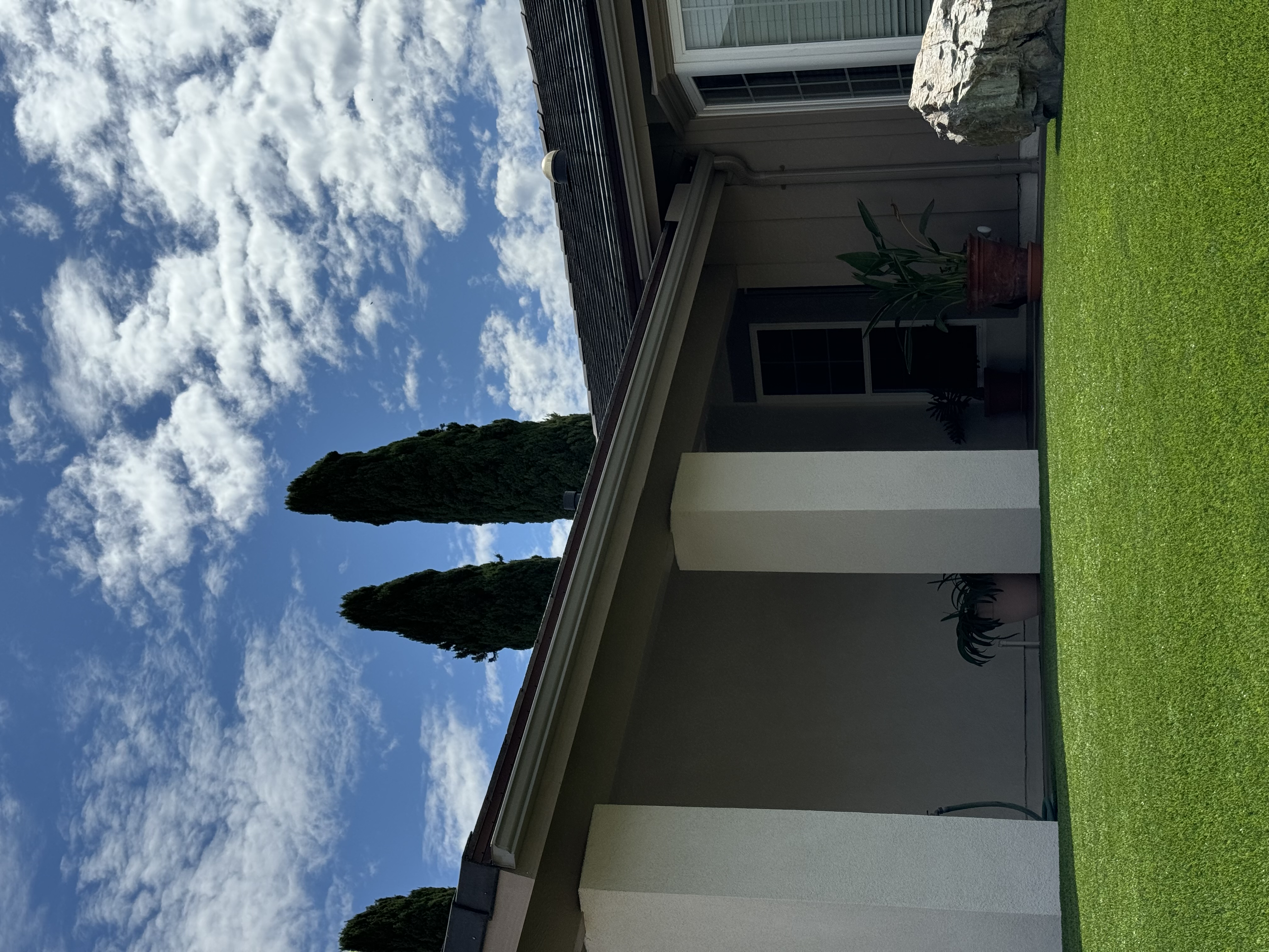 Black modern gutter system