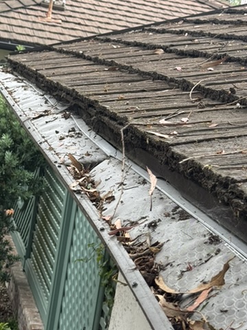 Clogged gutter full of debris